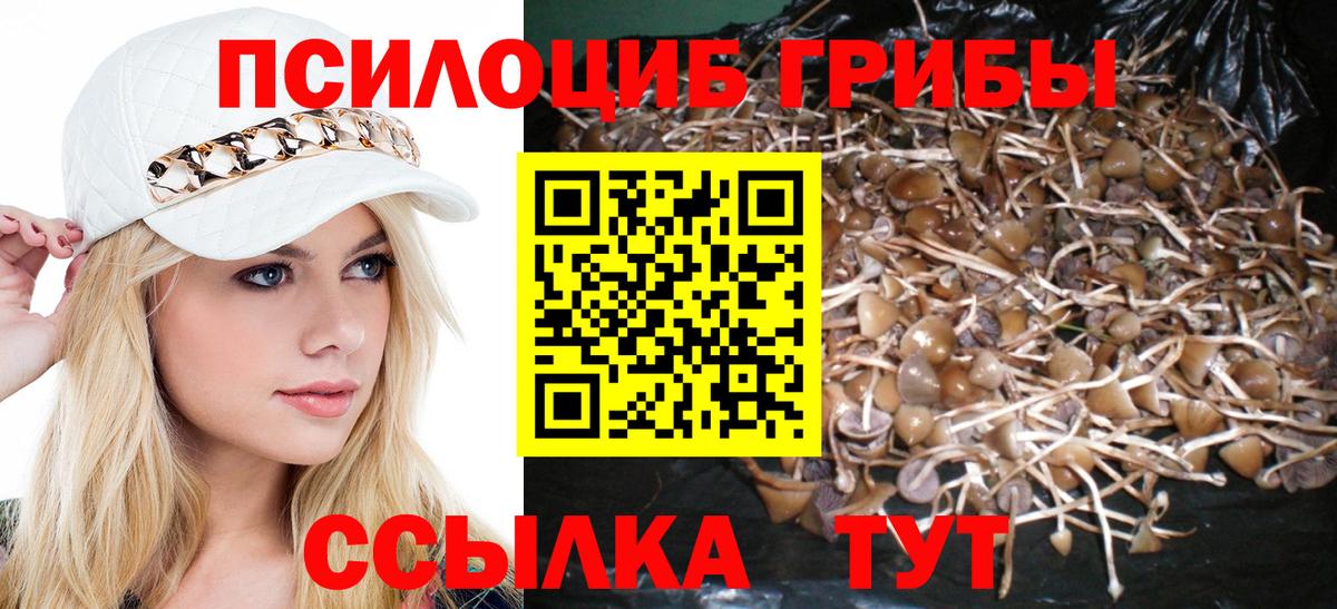 Галлюциногенные грибы Psilocybe  Вход с VPN  где продают наркотики  Прокопьевск  Галлюциногенные грибы GOLDEN TEACHER 