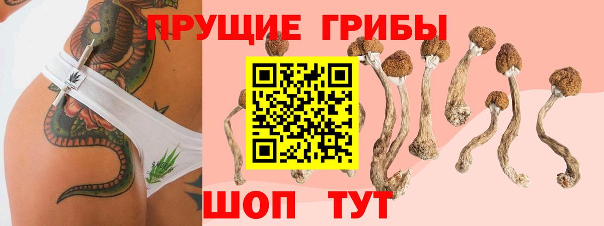 Псилоцибиновые грибы мицелий Прокопьевск