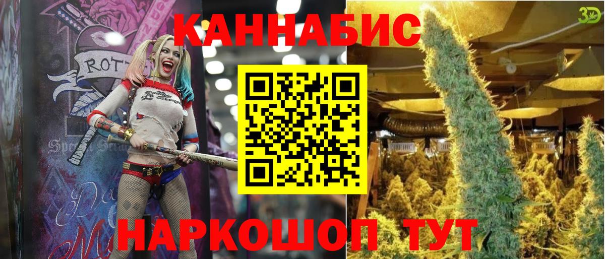Канабис сатива Прокопьевск
